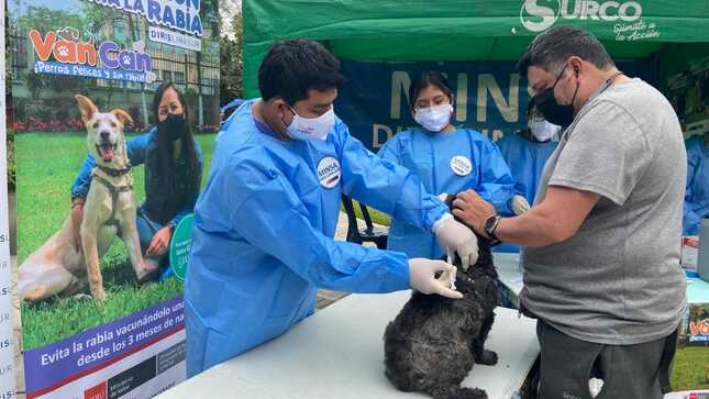 Camaná: Campaña de vacunación canina gratuita se realizará este fin de semana