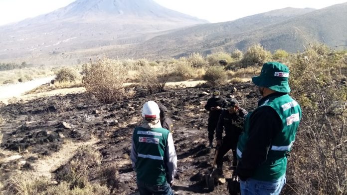 El incendio forestal fue reportado por un ciudadano el día de ayer 31 de julio a SERFOR, al promediar las 17:30 horas.