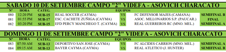 Programación de los partidos de la SUB 13, 15 y 17 en el Torneo Federación Región Arequipa.