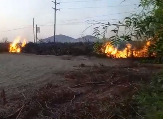 Ica: Sujetos quemaron tres agroexportadoras