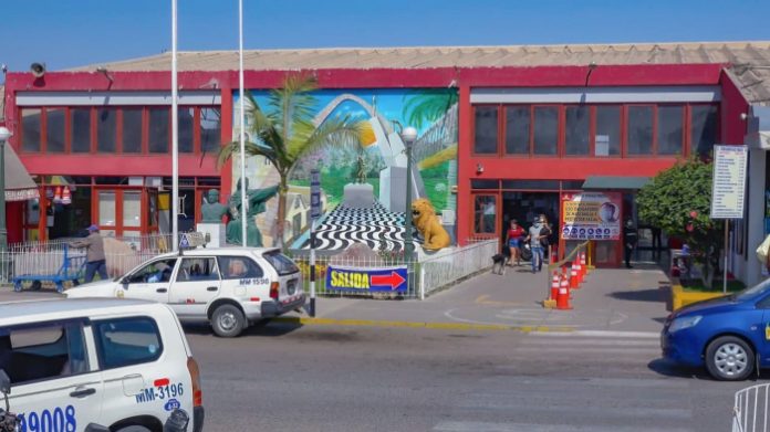 Tacna: Terminal Terrestre Manuel A. Odría reanudó sus operaciones