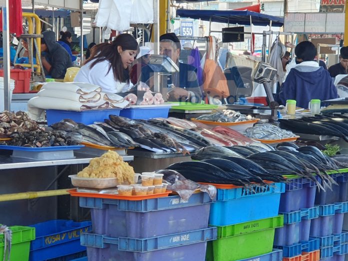 Venta de camarón en el Terminal Pesquero retornará los primeros días de abril