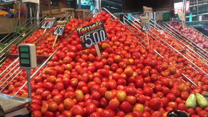 Precio del kilo de tomate llega a costar hasta los S/5 en mercados del Avelino Cáceres